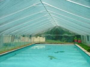 Inground Pool Inside View